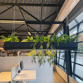 Deasc. Greenlight hanglamp met plant
