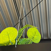 Deasc. Greenlight hanglamp met plant