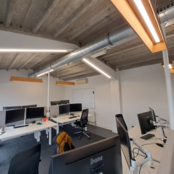 Mute akoestische hanglamp Dark Taupe