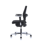 Nowy Styl Xilium duo back X-move