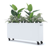 Deasc. Elegant plantenbak groot Deasc. Elegant plantenbak groot