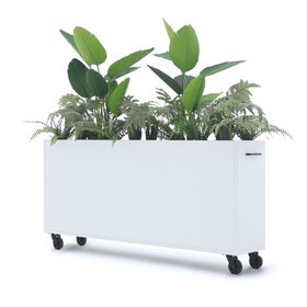 Deasc. Elegant plantenbak groot