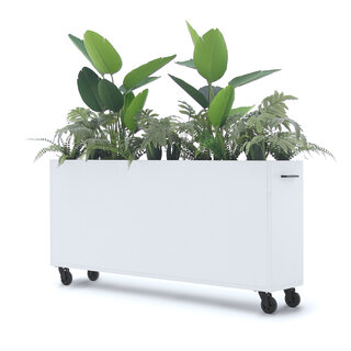 Deasc. Elegant plantenbak groot