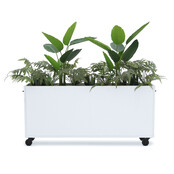 Deasc. Elegant plantenbak groot Deasc. Elegant plantenbak groot