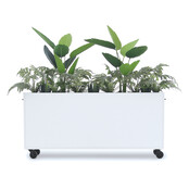 Deasc. Elegant plantenbak groot Deasc. Elegant plantenbak groot