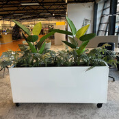 Deasc. Elegant plantenbak groot Deasc. Elegant plantenbak groot