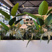 Deasc. Elegant plantenbak groot Deasc. Elegant plantenbak groot