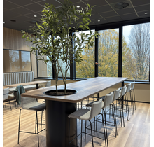 Vergadertafel Botaniq high