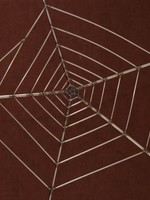 Lomprich Web voor kei-spin