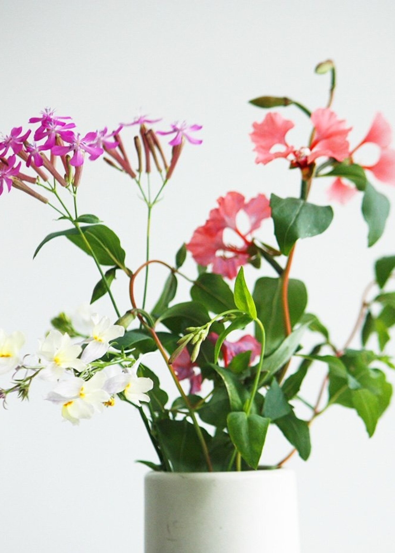 Send and Grow card - You make my heart go bloom bloom