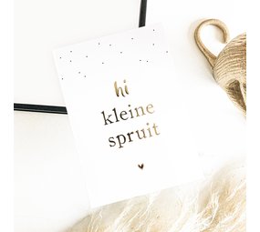Kaart Kleine Spruit Kaart Kleine Spruit