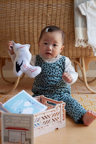 Soft Toy Ooievaar met rateltje en knisper - Soft babytoy Soft Toy Ooievaar met rateltje en knisper - Soft babytoy