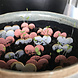 Throw and Grow confetti - let love grow Throw and Grow confetti - let love grow