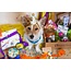 Pawty Party Pet Party in a Box