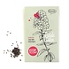 Flower seeds 'Sowing love' Flower seeds 'Sowing love'