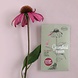 Flower seeds 'Sowing health' Flower seeds 'Sowing health'