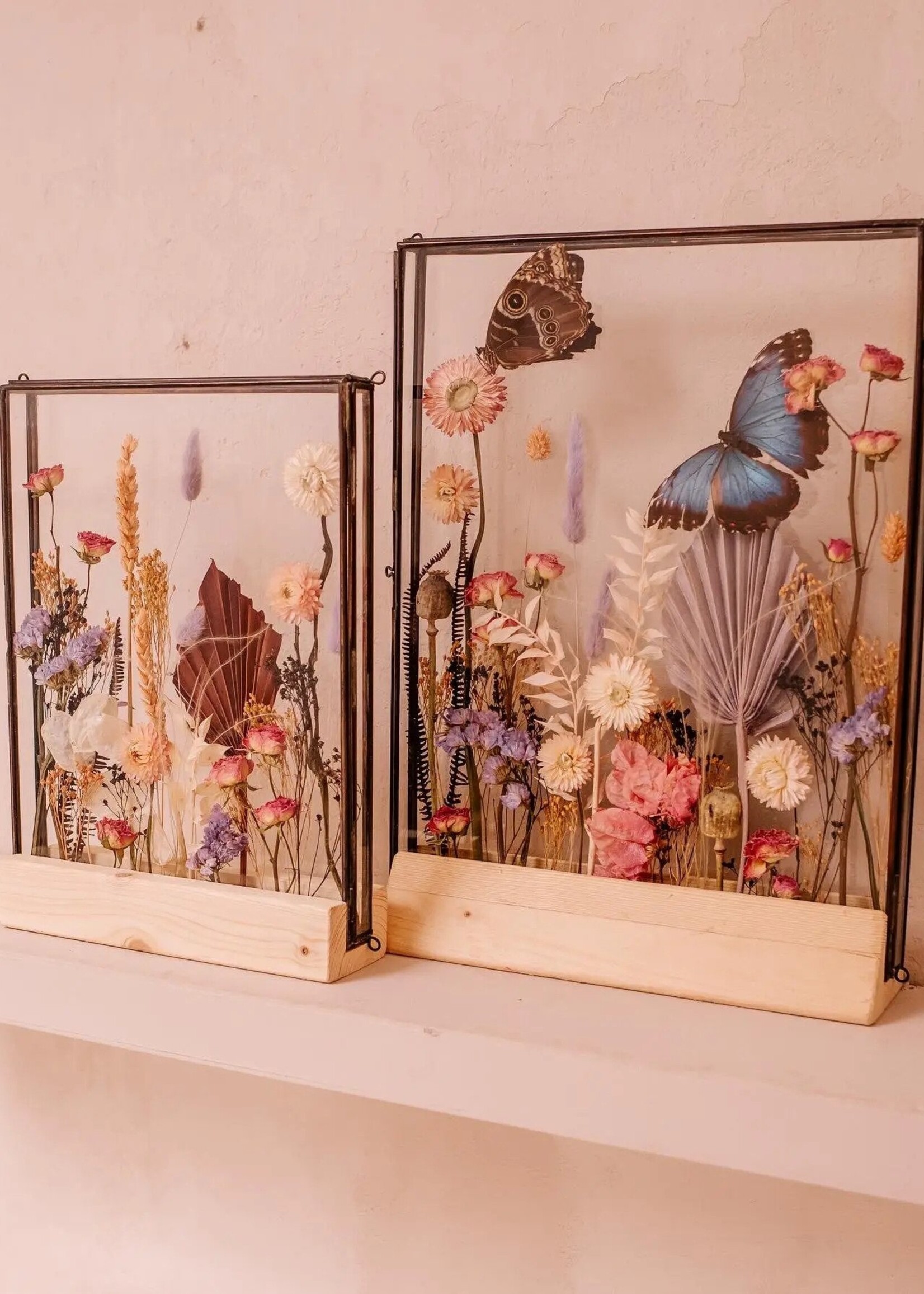 Frame S  Bourgondië