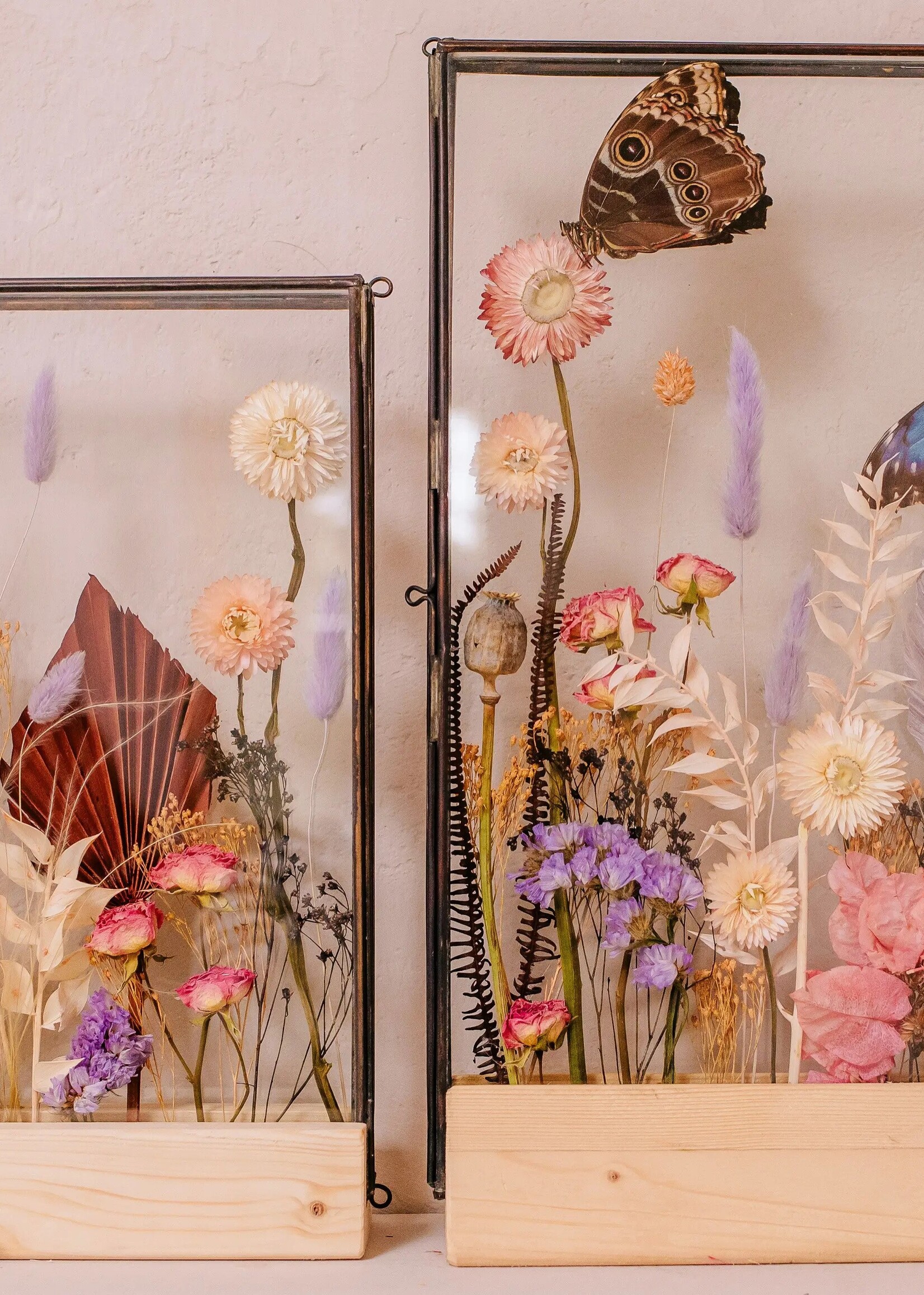 Frame S  Bourgondië