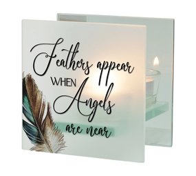 Feathers Appear Feathers Appear