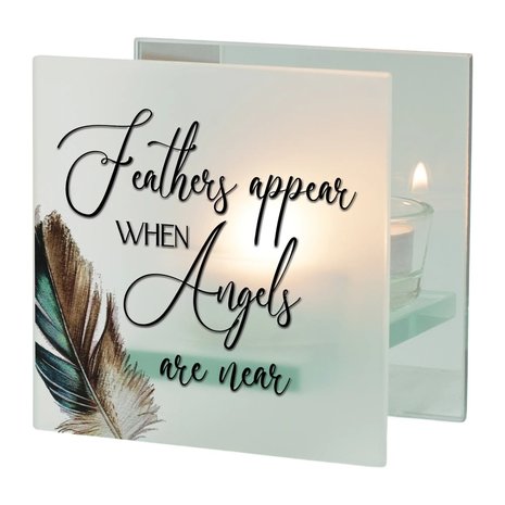 Feathers Appear Feathers Appear