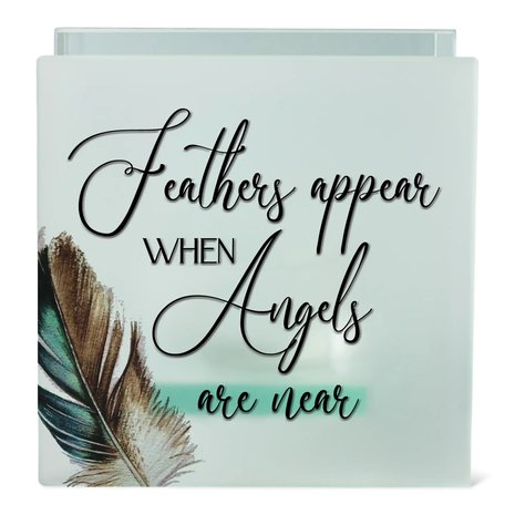 Feathers Appear Feathers Appear