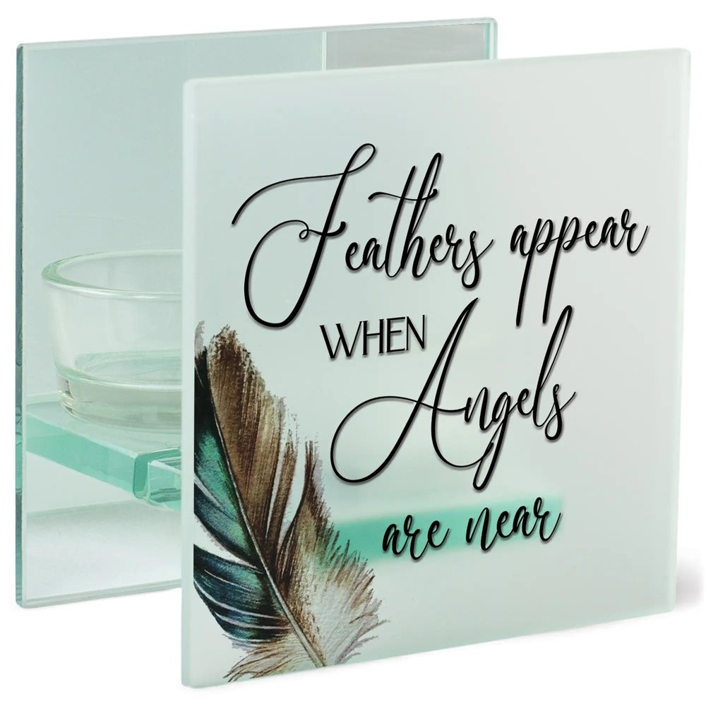 Feathers Appear Feathers Appear