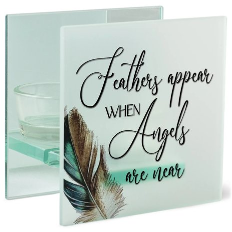 Feathers Appear Feathers Appear