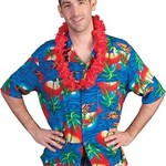 Bazaar Ple4 Hawaïhemd island