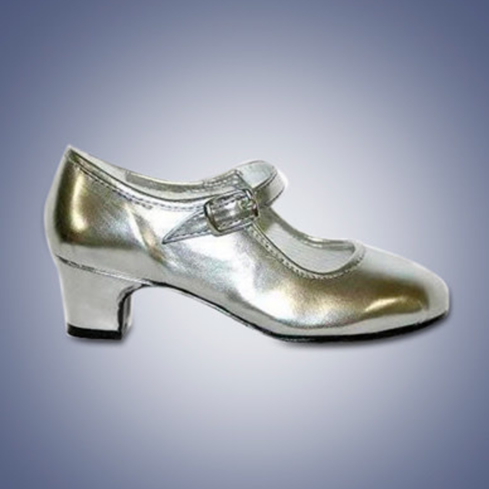 Flamenco schoentjes - Zilver