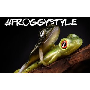 Spro The frog 10cm 10gr