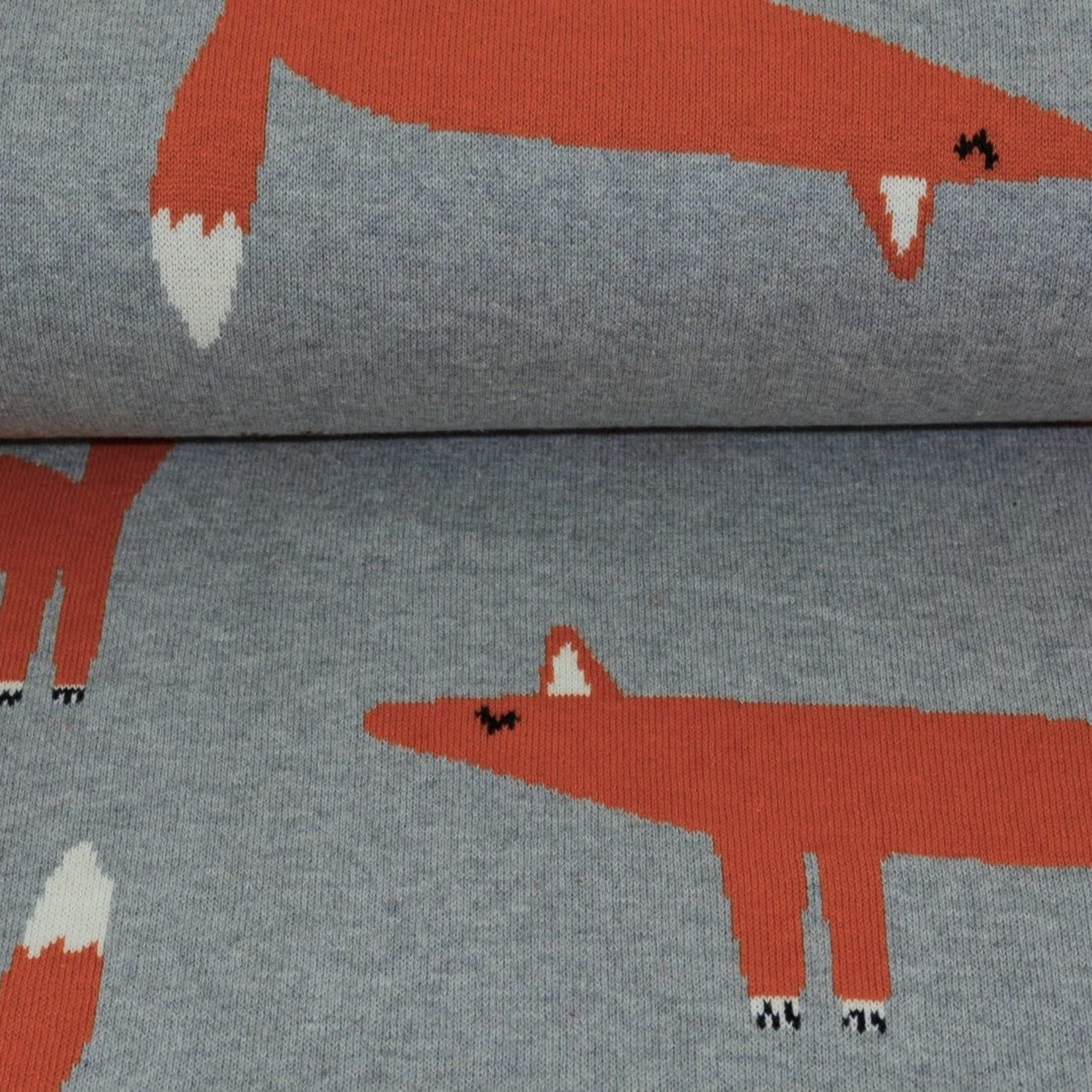 Tricot Double Face Fox