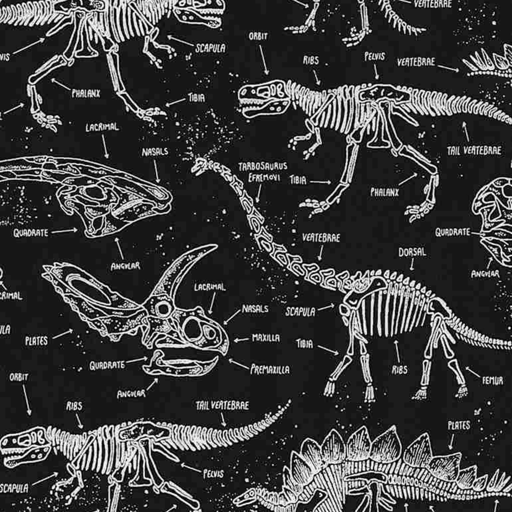 Timeless Treasures Katoen  Dinosaurs Skeleton Glow in the Dark
