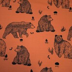 Katia Fabrics Sweater Country Bear