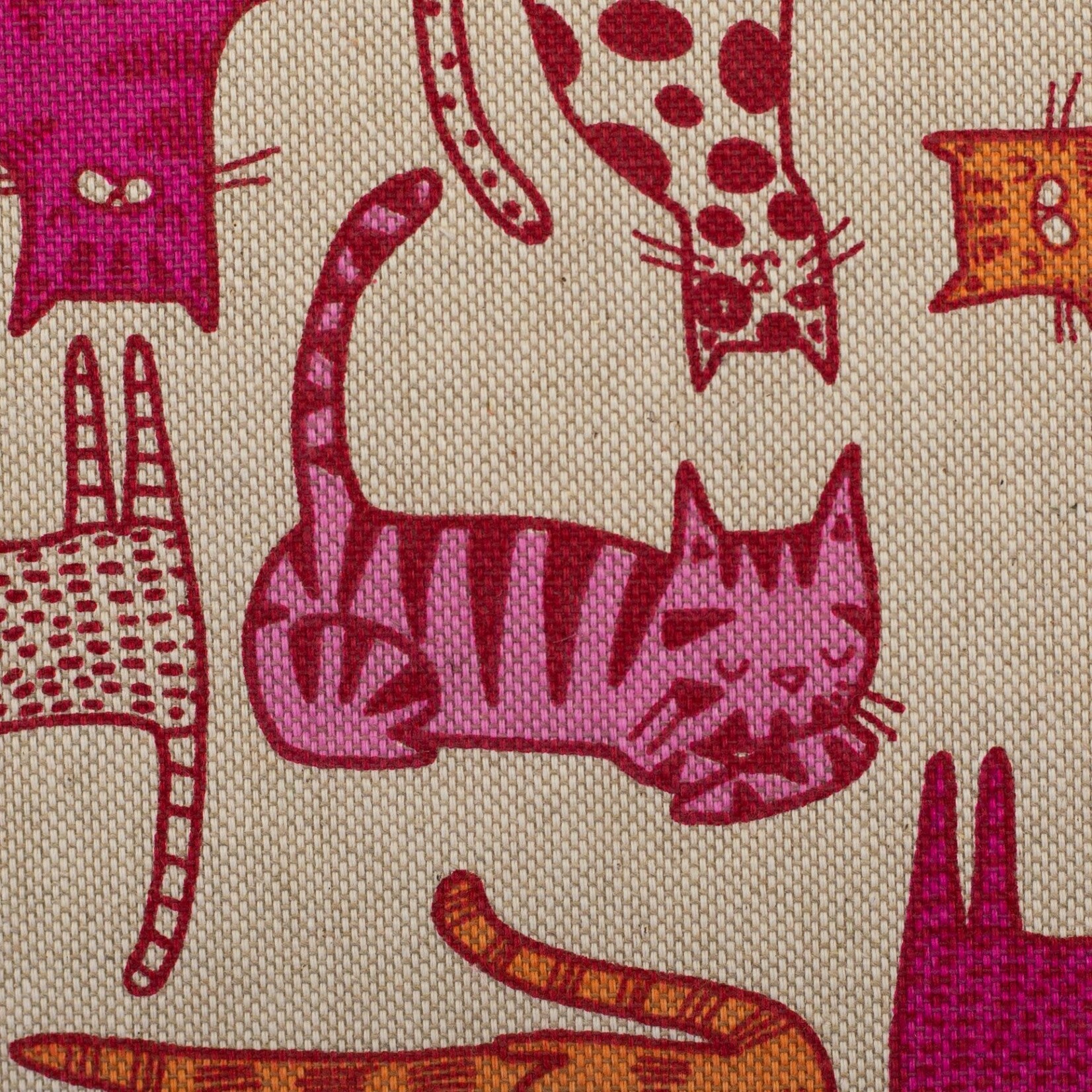 Canvas Cats