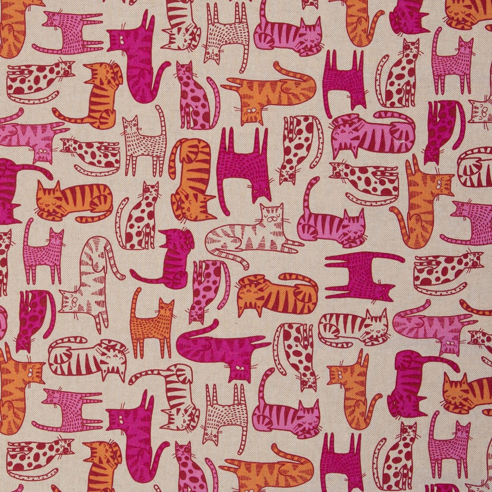 Canvas Cats
