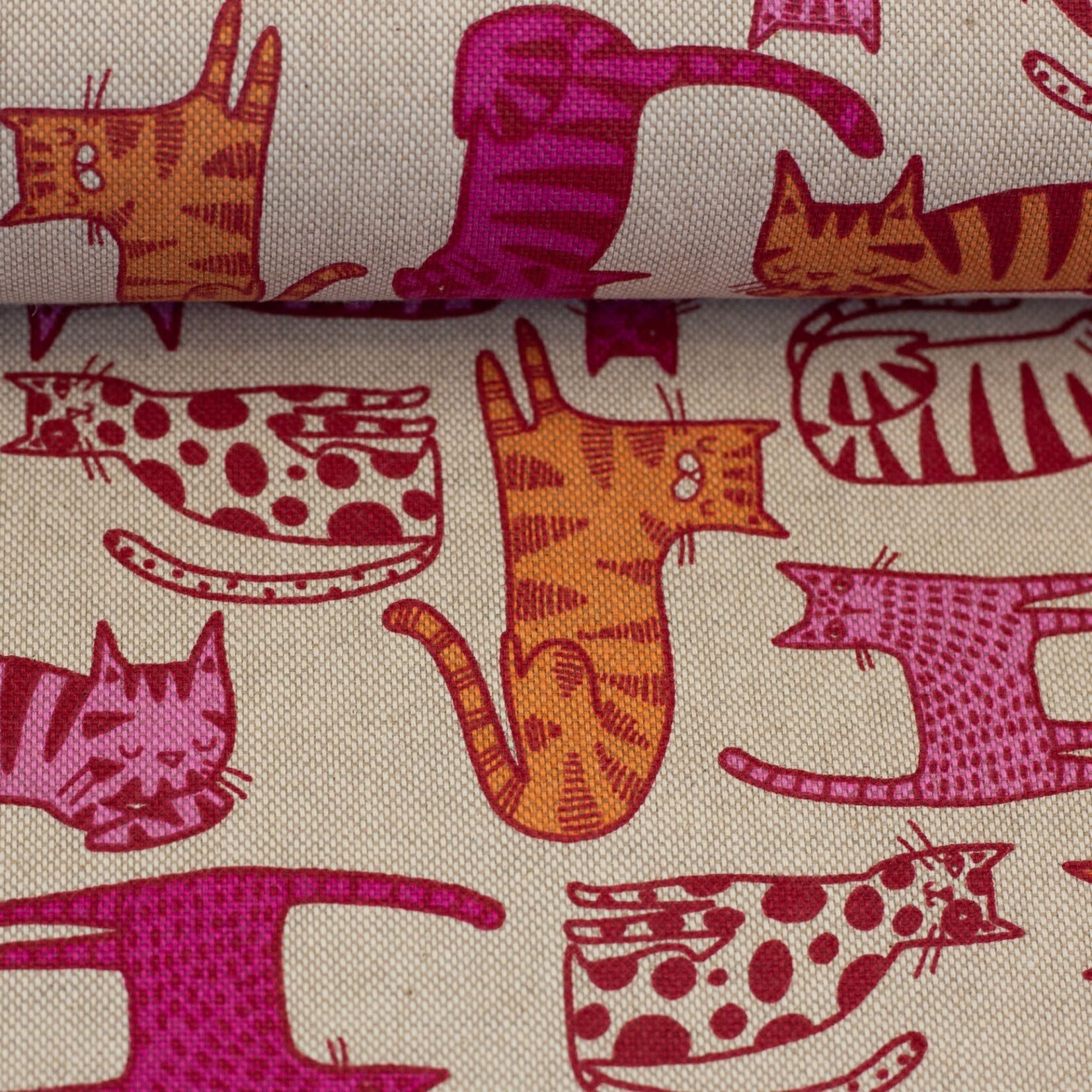 Canvas Cats