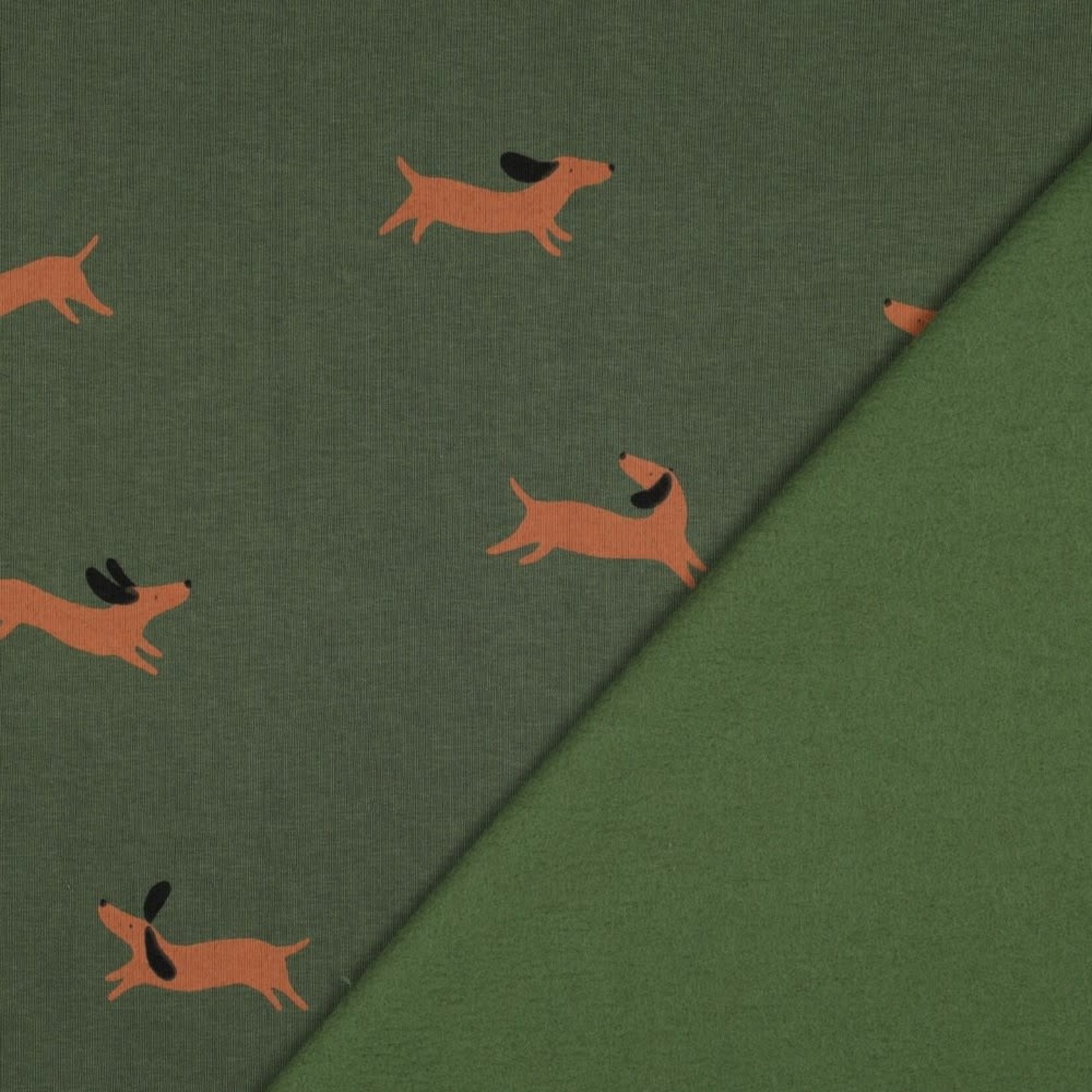 Sweater Dogs