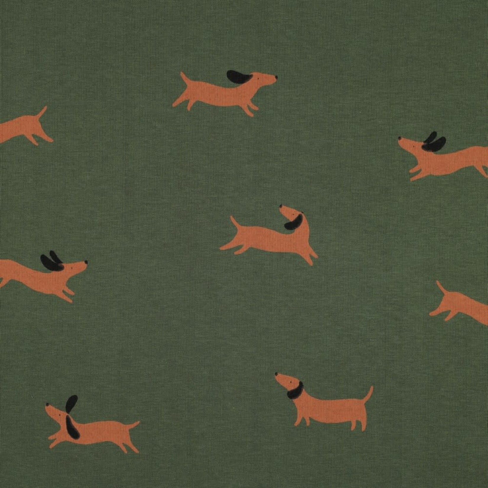 Sweater Dogs