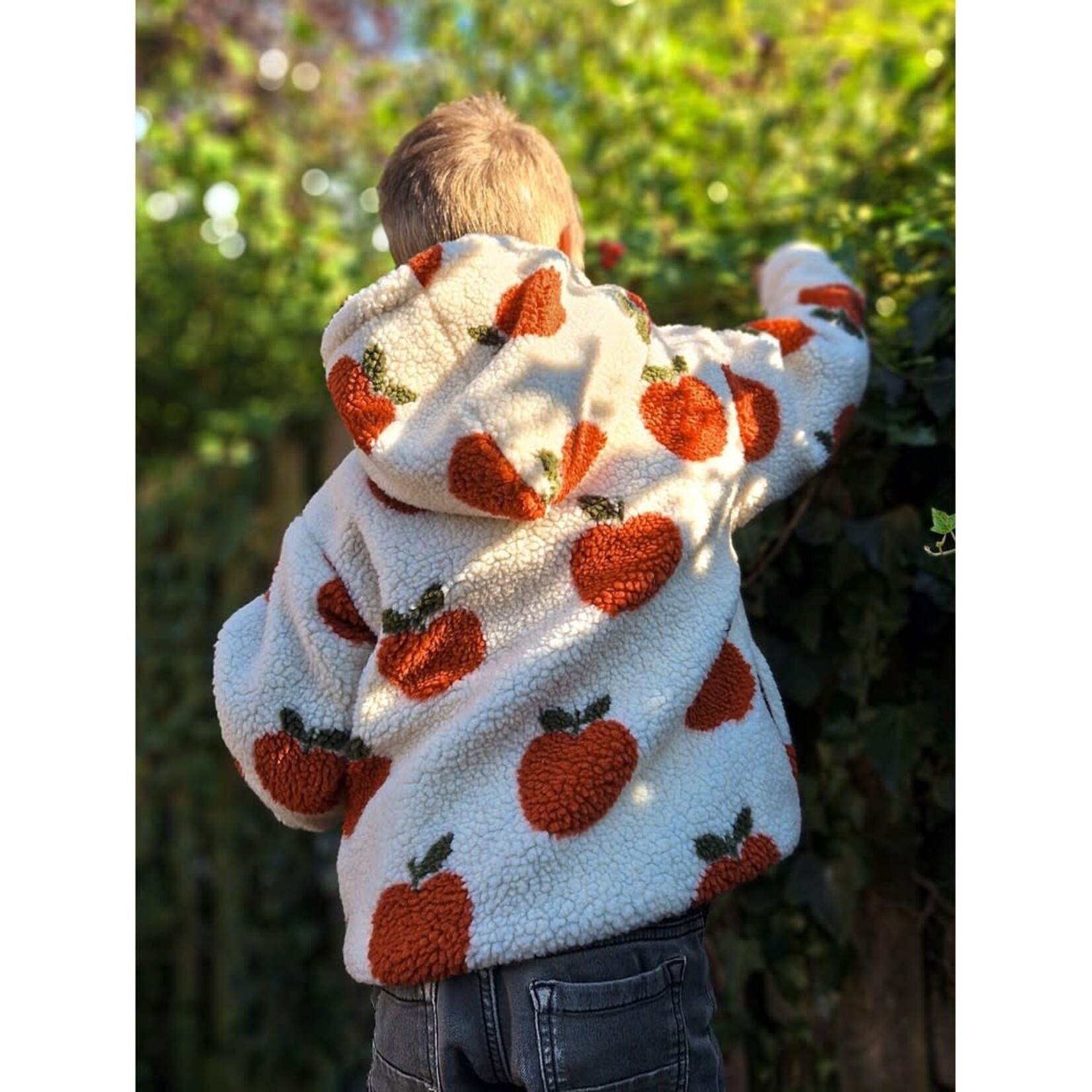 Teddy Appeltjes