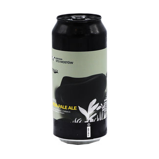 Browar Stu Mostów Browar Stu Mostów collab Finback Brewery - ART53 India Pale Ale Browar Stu Mostów Browar Stu Mostów collab Finback Brewery - ART53 India Pale Ale