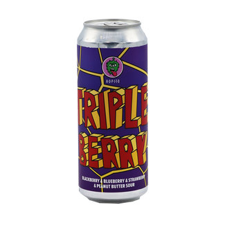 Browar Hopito Triple Berry