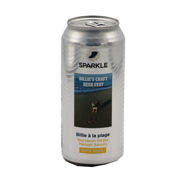 Sparkle ✨ - Billie à La Plage