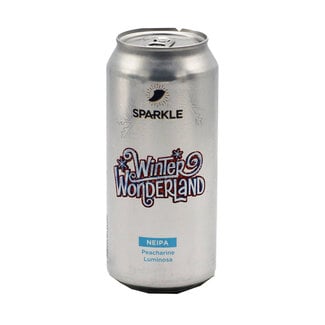 Sparkle ✨- Winter Wonderland Sparkle ✨- Winter Wonderland