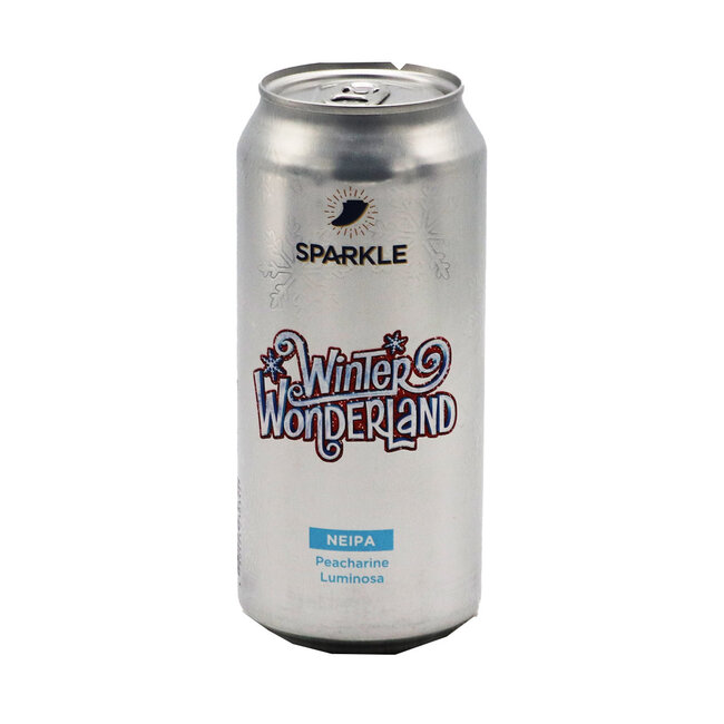 Sparkle ✨- Winter Wonderland