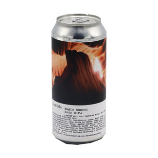 Doskiwis Brewing DosKiwis - Magic Number