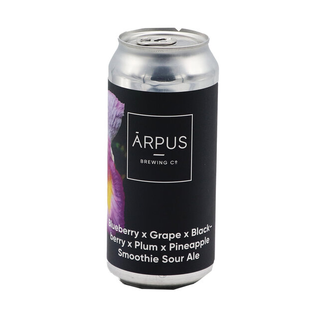 Ārpus Brewing Co. - Blueberry X Grape X Blackberry X Plum X Pineapple Smoothie Sour Ale