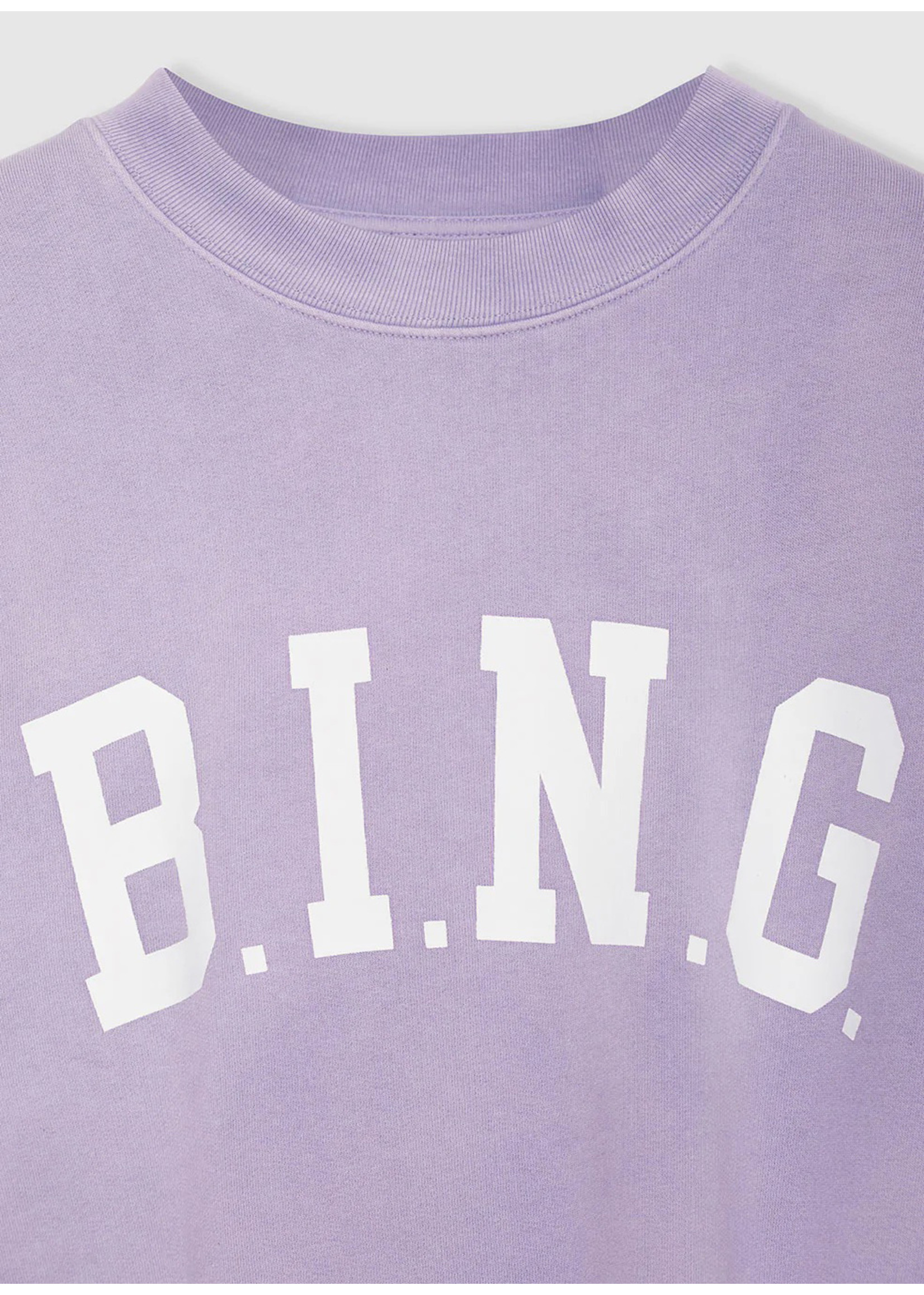 Anine Bing Tyler Sweatshirt Washed Lavender Purple