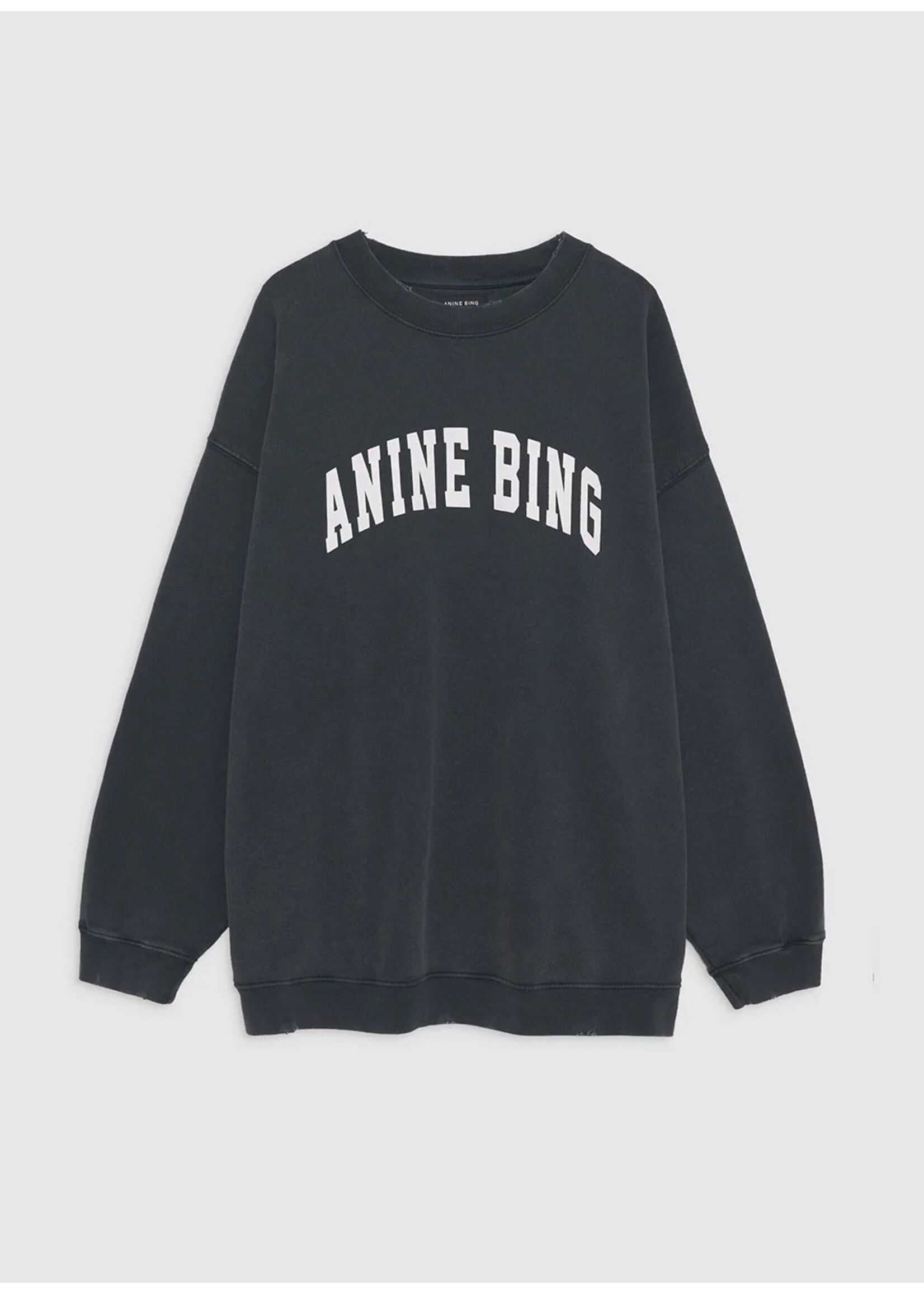 Anine Bing Tyler Sweatshirt Washed Black