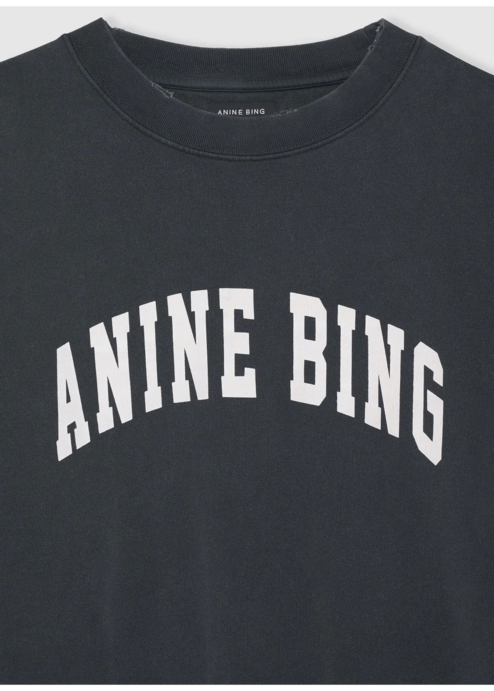 Anine Bing Tyler Sweatshirt Washed Black