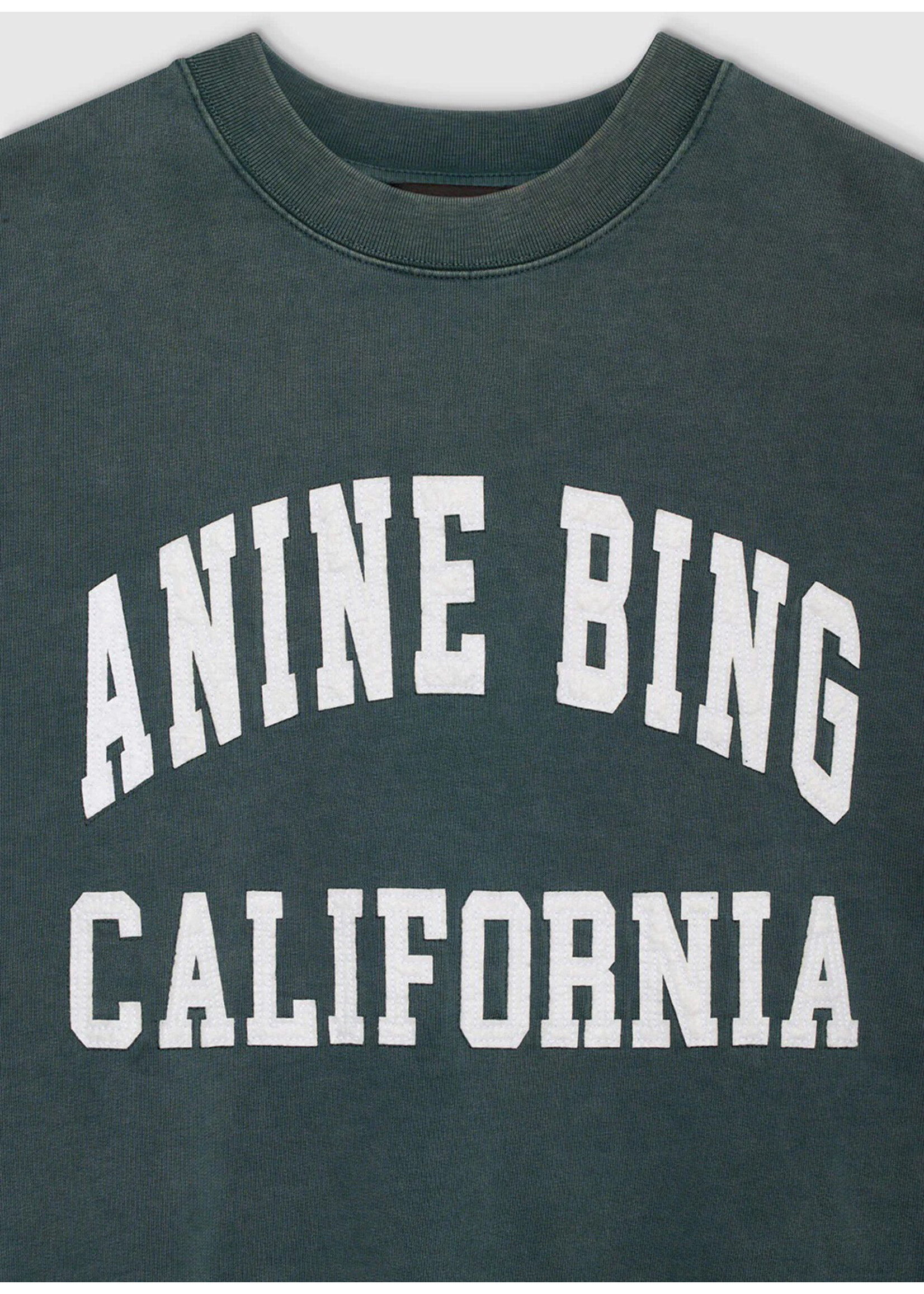 Anine Bing Miles Sweatshirt Washed Dark Sage